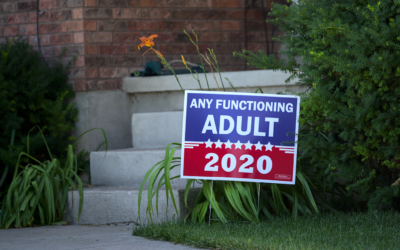 Yard Signs: The (political) sign of the times